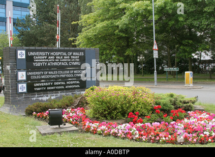 Cardiff South Wales GB UK 2006 Stockfoto