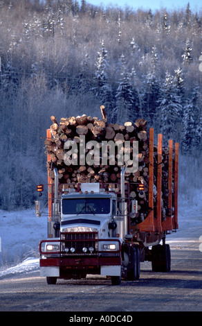 Protokollierung-LKW im Winter auf remote-Straße Northern Alberta Kanada Stockfoto