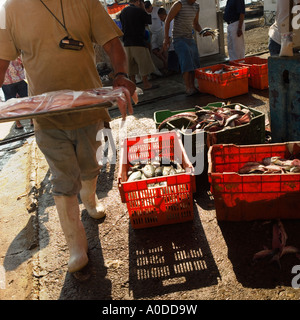 Fischer bereiten Fisch Kai Mexiko keine Modellfreigabe erforderlich: rückseitige Ansicht und Gesicht ernten bedeutet, dass Menschen nicht erkennbar Stockfoto