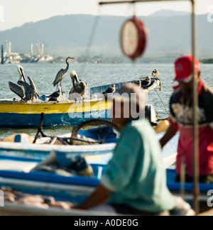 Fischer auf dem Kai in Mazatlan, Sinaloa, Mexiko Stockfoto