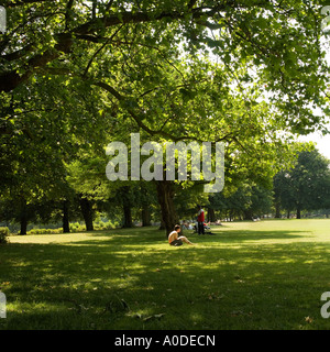 Junge sitzt in der Sommersonne in Clissold Park North London England UK Stockfoto