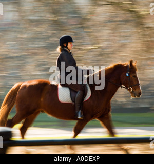 Reiter im Hyde Park London England UK Stockfoto