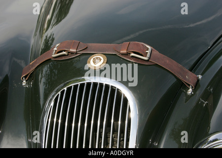 Lederband auf der Motorhaube eines Autos von Jaguar Stockfoto