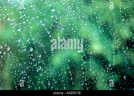 Blick aus dem Fenster an einem regnerischen Tag mit Regentropfen auf dem Glas Stockfoto