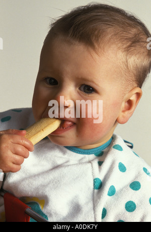 schon früh füttern Stockfoto