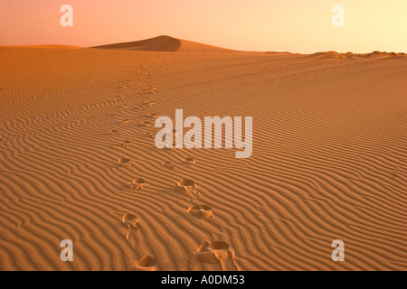 Vietnam-Mui Ne weiße Sanddünen bei Sonnenaufgang zwei Linien von Spuren in wellige sand Stockfoto