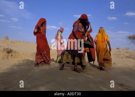 Wüste Bhil und Bishnoi indigene Arbeiter Rajasthan Indien Stockfoto