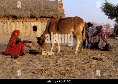 Bishnoi indigenen Lebensstil Indien Rajasthan Wüste Stockfoto