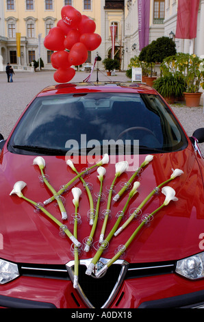 Weiße Blüten, die auf der roten Motorhaube fixiert Stockfoto