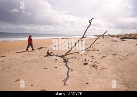 FAST MENSCHENLEER SANDY BEACH-SZENE MIT DAME IN ROT ZU FUß ENTLANG IN RICHTUNG VÖGEL RUHEN AM STRAND IN DER FERNE Stockfoto