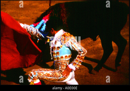 Stierkampf in Plaza De Toros Puerto Vallarta Mex. Stockfoto