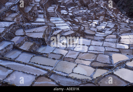 Salinen Salinas Cuzco Bereich Peru Stockfoto