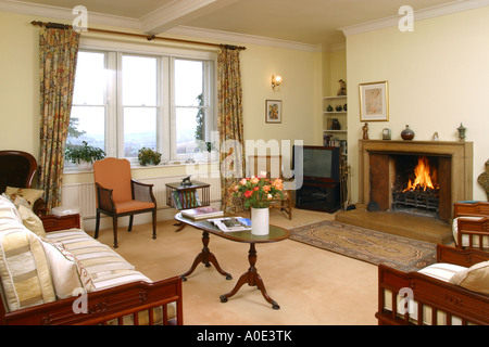 UK Property, Haus, Einrichtung, Wohnzimmer, traditionell. Stockfoto