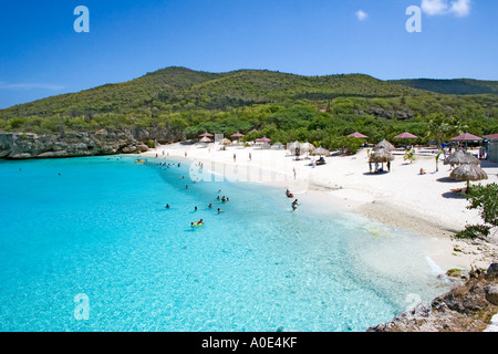 Knip Bay Strand mit vielen Palmen Schatten der Bäume am weißen Sandstrand in Curacao, Niederländische Antillen Stockfoto