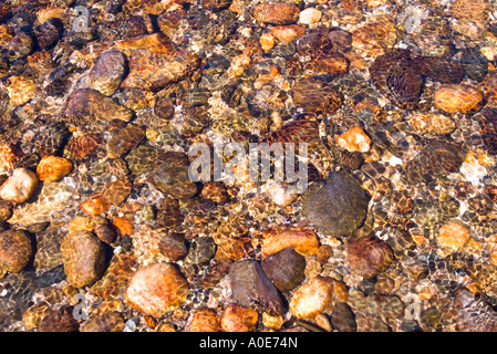Hintergrund der klare Wasser plätschern über Kieselsteine in einem flachen Hochland Stream in Süd-Australien Stockfoto