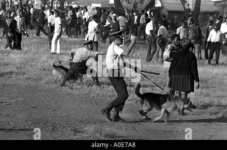 Politische Unruhen in Rhodesien (Zimbabwe) 1. Juni 1975 in Salisburys Highfield Township. Stockfoto