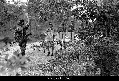 Rhodesian Truppen im Busch 1975. Stockfoto