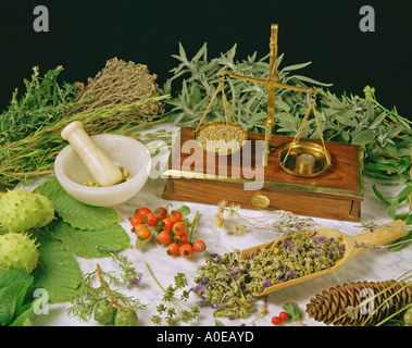 Heilkräuter Stockfoto
