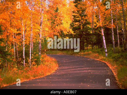 Landstraße mit Herbstlaub Nordufer Minnesota Stockfoto