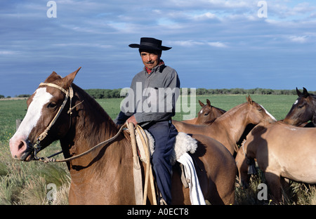 Mann auf dem Pferderücken Argentinien Stockfoto