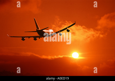 In die Sonne Stockfoto