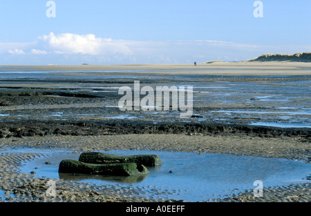 BRONZEZEIT POST HOLZ KREIS BEI HOLME ALS NÄCHSTES DAS MEER NORTH NORFOLK, NORFOLK EAST ANGLIA ENGLAND UK Stockfoto