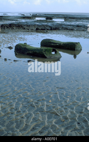 BRONZEZEIT POST HOLZ KREIS BEI HOLME ALS NÄCHSTES DAS MEER NORTH NORFOLK, NORFOLK EAST ANGLIA ENGLAND UK Stockfoto