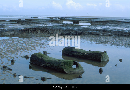 ZWEI ZENTRALE MELDET BRONZEZEIT POST HOLZ ZIRKEL VON HOLME ALS NÄCHSTES DAS MEER NORTH NORFOLK, NORFOLK EAST ANGLIA ENGLAND UK Stockfoto