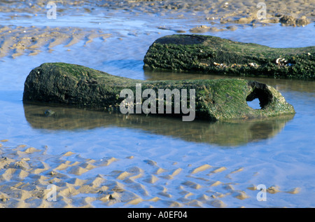 ZWEI ZENTRALE MELDET BRONZEZEIT POST HOLZ ZIRKEL VON HOLME ALS NÄCHSTES DAS MEER NORTH NORFOLK, NORFOLK EAST ANGLIA ENGLAND UK Stockfoto