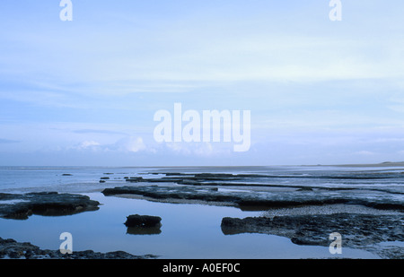 Strand bei Holme als nächstes das Meer Norfolk NORFOLK EAST ANGLIA ENGLAND UK zeigt Torf Ebenen und Errosion am Meer Stockfoto