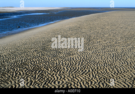 wellige Sandbank Flut am Strand bei Holme als nächstes Meer Norfolk NORFOLK EAST ANGLIA ENGLAND UK Stockfoto