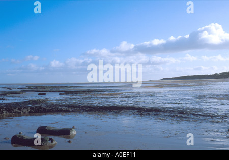 Bronzezeit bei HOLME NEBEN DAS MEER NORTH NORFOLK, NORFOLK EAST ANGLIA ENGLAND GROSSBRITANNIEN Stockfoto