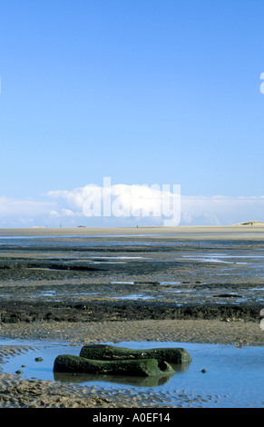 BRONZEZEIT POST HOLZ KREIS BEI HOLME ALS NÄCHSTES DAS MEER NORTH NORFOLK, NORFOLK EAST ANGLIA ENGLAND UK Stockfoto