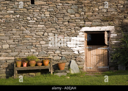 Terrakotta Blumentöpfe auf Bank außerhalb der traditionellen Scheune mit Stalltür in "Lake District" Nationalpark Watendlath Cumbr Stockfoto