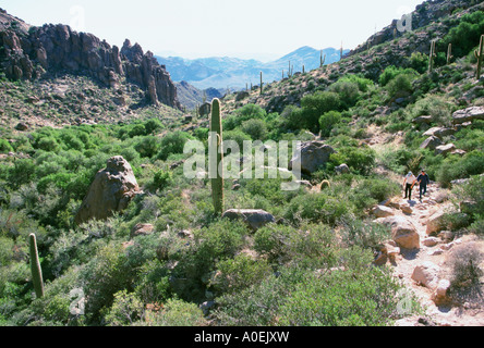 Ansicht des Canyons in den Superstition Mountains mit paar Wandern auf Spuren Arizona USA Stockfoto