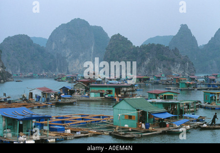 Häuser am Wasser Cat Ba Insel Halong Bay Area Vietnam Stockfoto
