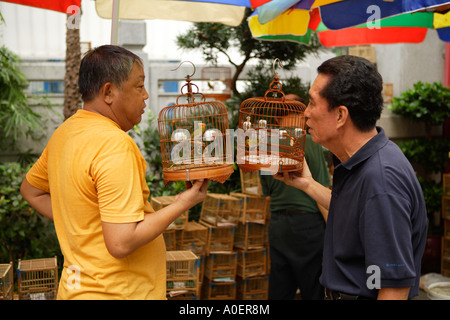 Die Vogel- und Blumenmarkt, Kowloon. Stockfoto