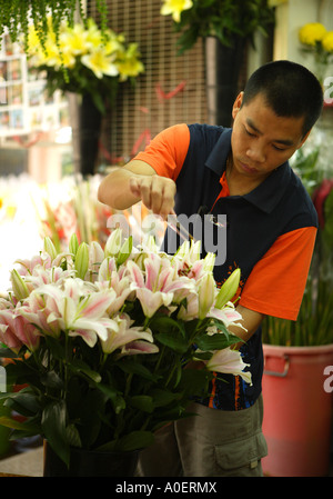 Die Vogel- und Blumenmarkt, Kowloon. Stockfoto