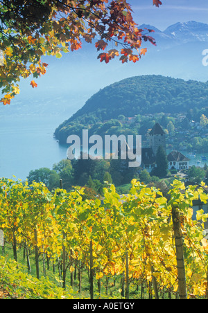 Spiez am Thunersee Berner Oberland Schweiz Stockfoto