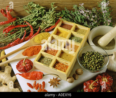 Verschiedene Gewürze Stockfoto