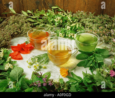 Kräutertee Stockfoto