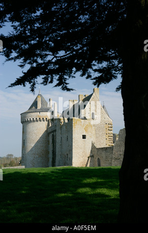 Chateau de Suscinio in Brittany France Stockfoto