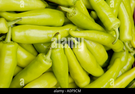 Ungarische heißes Wachs chili peppers im Verkauf bei der jährlichen Abergavenny Food Festival Wales UK GB EU Stockfoto