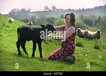 FRANCES WOOD A BUFFALO BAUER AUS WEST CRANMORE SOMERSET UK EIN 10 TAGE ALTEN KALB Stockfoto