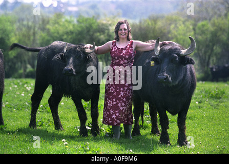 FRANCES WOOD A BUFFALO BAUER AUS WEST CRANMORE SOMERSET UK Stockfoto