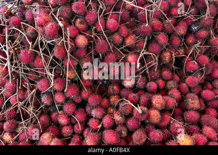 Stäbchen (Nephelium Lappaceum) Stockfoto