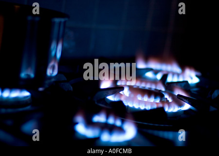 Gas-Ringe auf einem Kochfeld Stockfoto