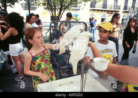 Verkauf von Kakadus auf dem Marktplatz in der Altstadt von San Juan Stockfoto