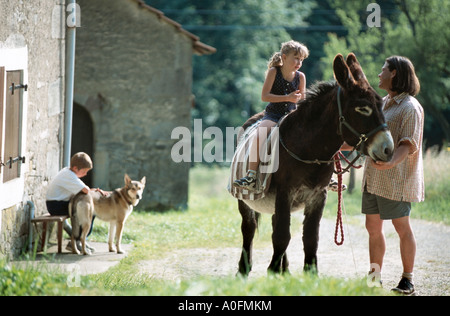 Poitou-Esel (Equus Asinus Asinus), Reiten, Kind, Frankreich, Alsace Stockfoto