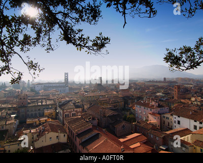 Blick auf Lucca Toskana Italien von der Spitze des Torre Guinigi Turm der Steineiche wachsen Bäume im Rahmen oben auf dem Turm Stockfoto